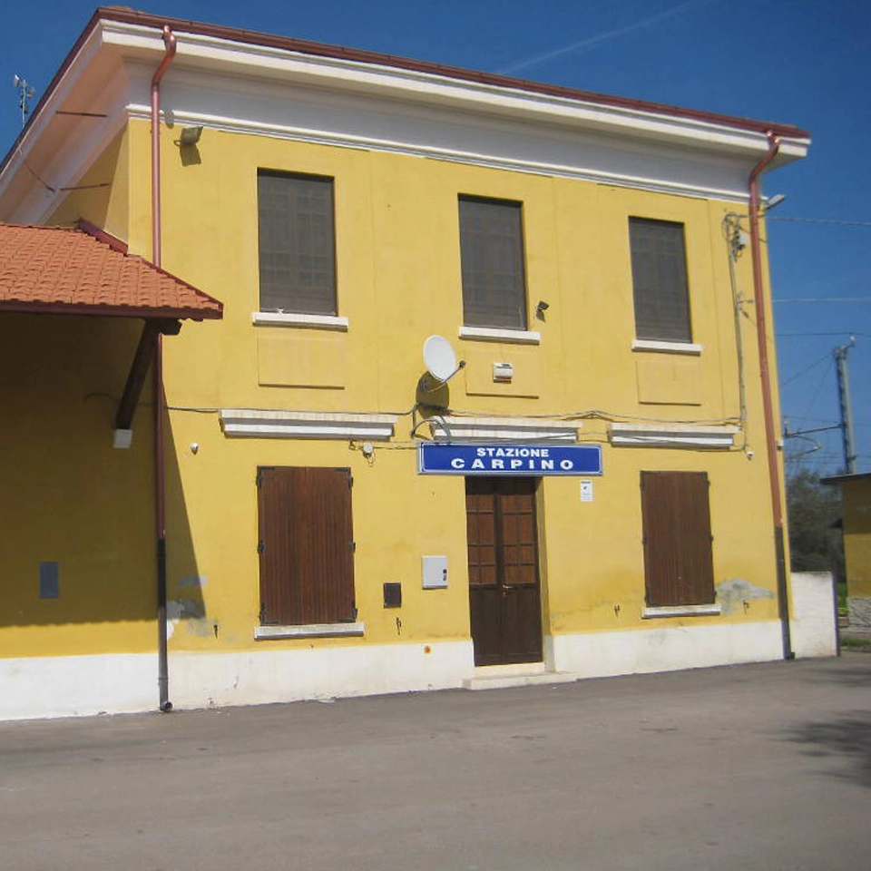 carpino_5_web
