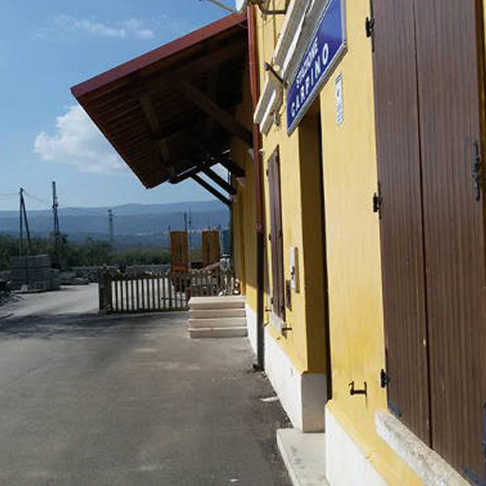 carpino_6_web