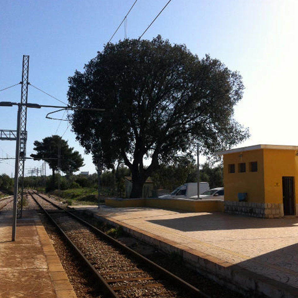 ischitella_7_web