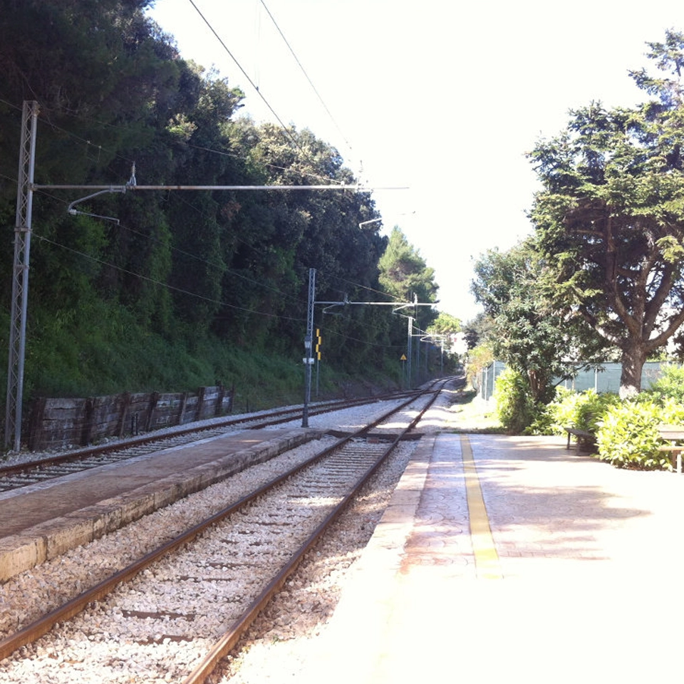 vico2